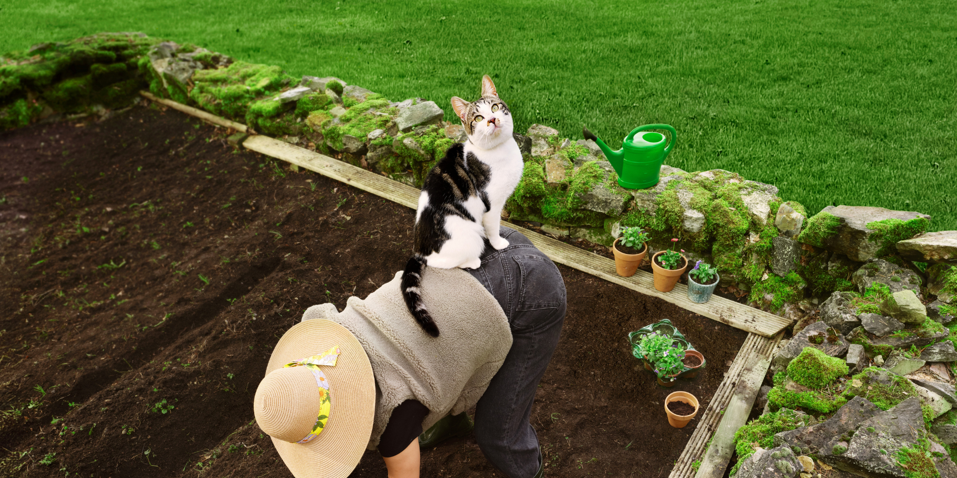 6 signalen wormen bij kat