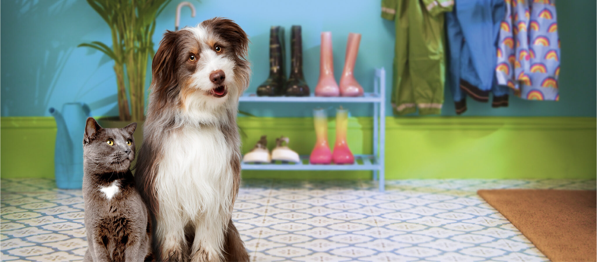 Wat is de normale lichaamstemperatuur van een kat? - My Happy Pet