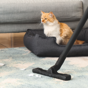 Honden-en kattenhaar verwijderen