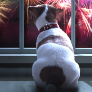 hond vuurwerkangst
