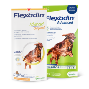 Flexadin voor honden, nieuwe verpakking, advanced en original