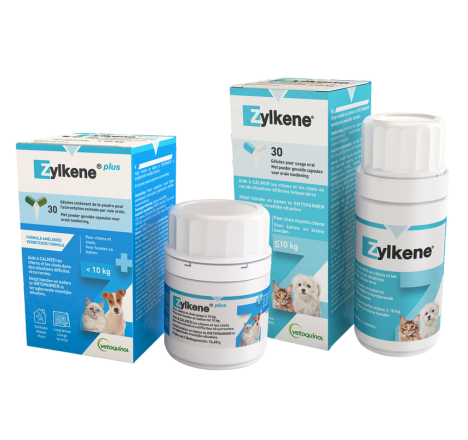 Zylkene producten voor katten - 100% natuurlijk voedingssupplement