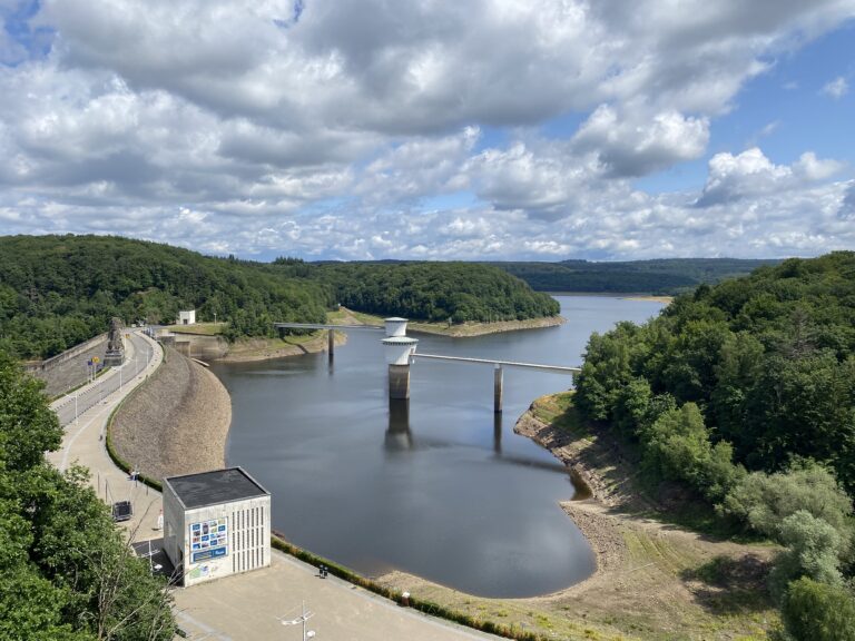 Winterwandelingen in 2026 met je hond. Uitzicht over Lac de la Gileppe Wallonië