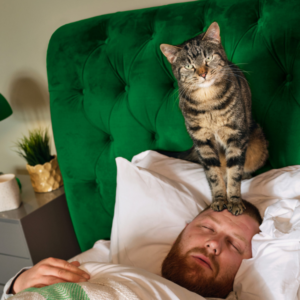 6 signalen wormen bij kat