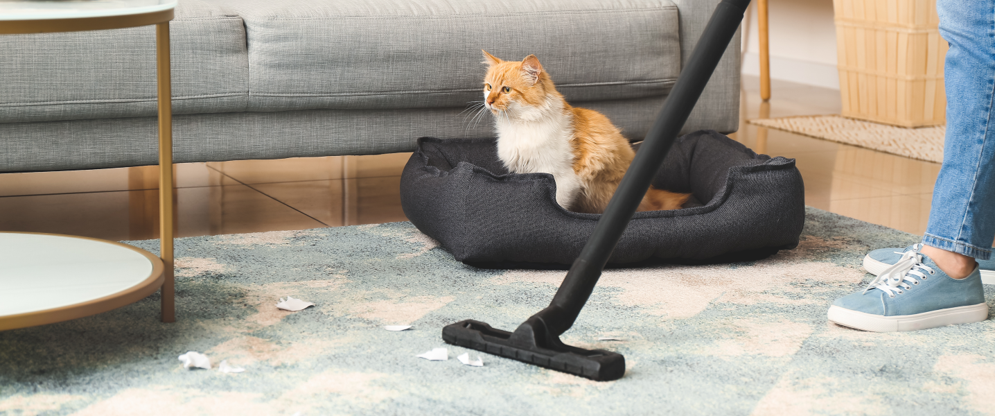 Honden-en kattenhaar verwijderen